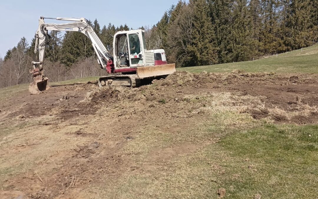 Um- und Verschönerungsarbeiten sowie Baumschnitt